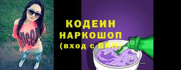 прущий лед Алзамай