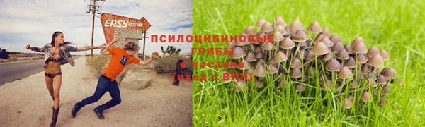 стафф Алексеевка