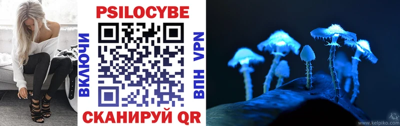 blacksprut рабочий сайт  Аргун  Псилоцибиновые грибы мицелий 