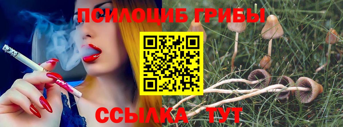 Галлюциногенные грибы Magic Shrooms Аргун