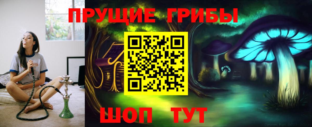 Аргун  Псилоцибиновые грибы Magic Shrooms  Вход с VPN 